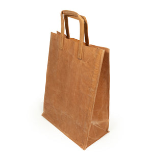 Library Bag