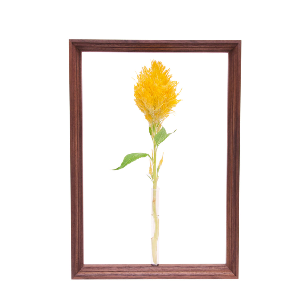 BULLPEN Exclusive Frame Flower Vase 《L》