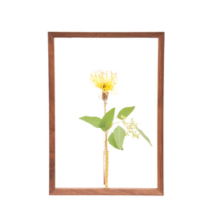 Frame Flower Vase 《L》