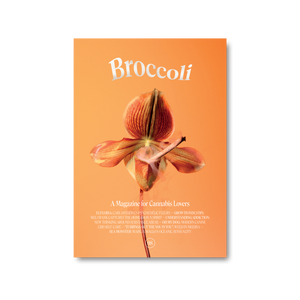 Broccoli magazine Issue 8
