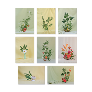 Weed Ikebana Postcard Print Set
