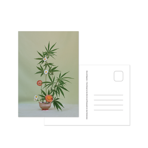 Weed Ikebana Postcard Print Set